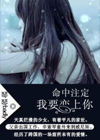 命中注定撩上你,一场浪漫邂逅的甜蜜序章