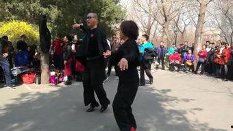 伦巴之恋,激情四溢的舞蹈传奇