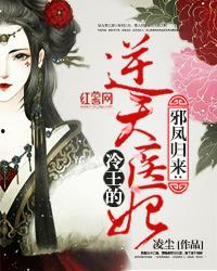 医妃卿卿,宫廷秘术与爱情传奇的交织